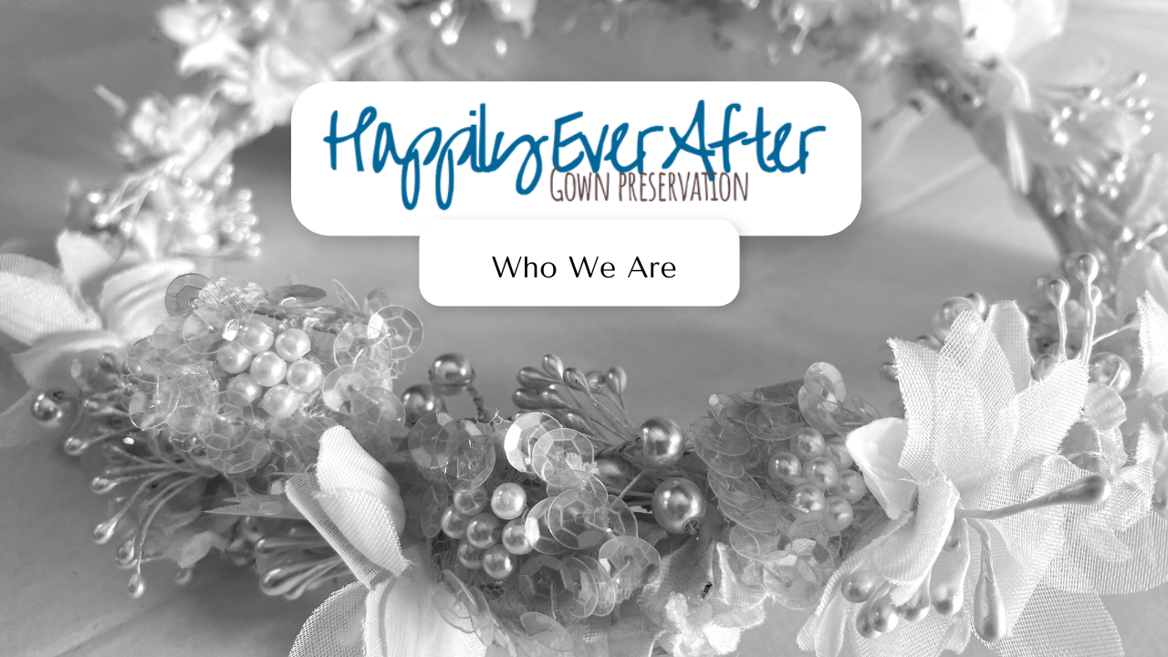 Happily Ever After Preservation Happily Ever After Dress Preservation